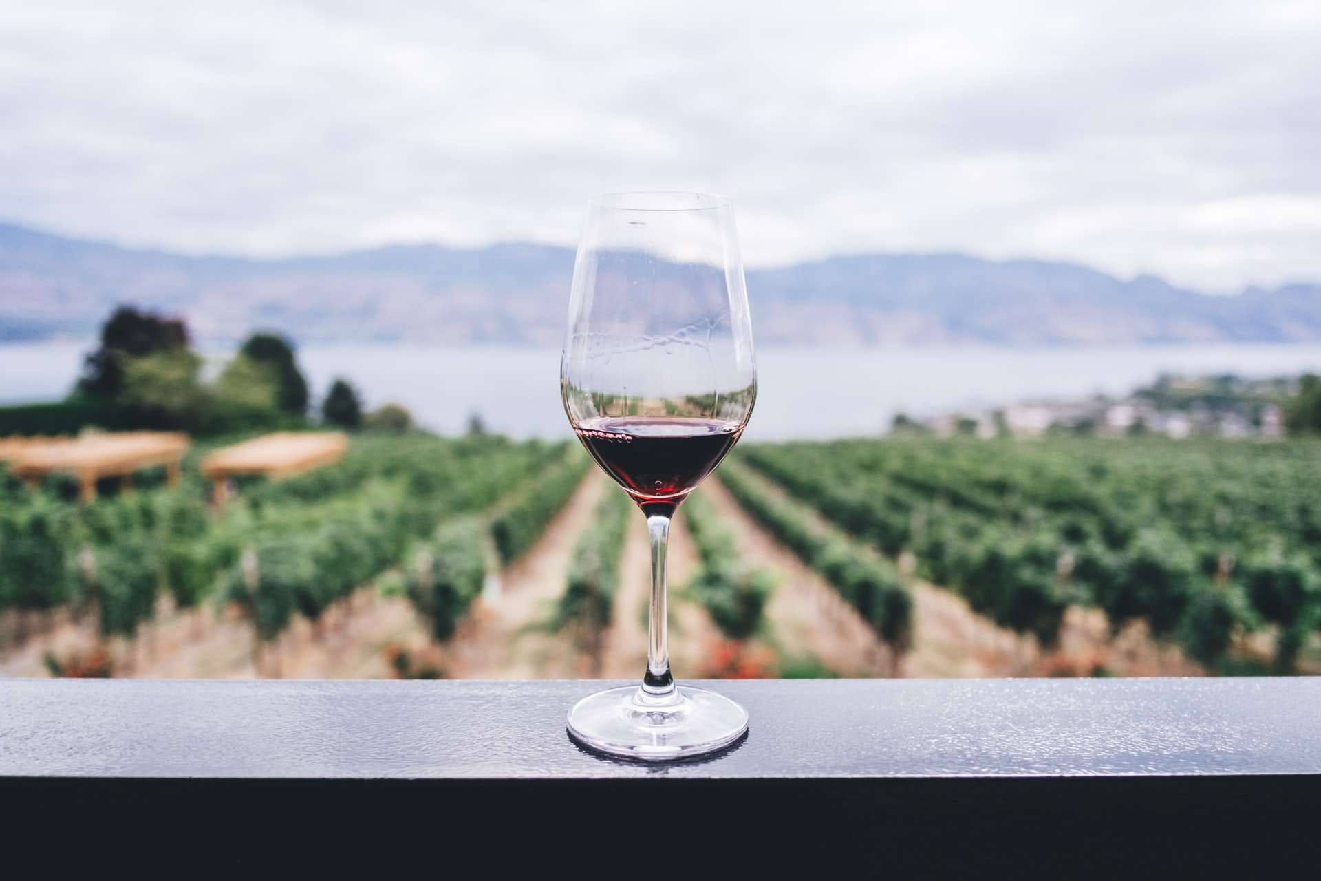 cave à vin
